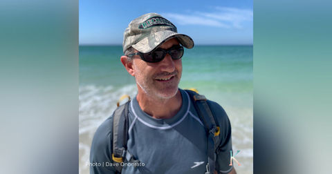 60. Florida’s Ghost Cat | A Conversation with Research Scientist Dave Onorato with the Florida Panther Project