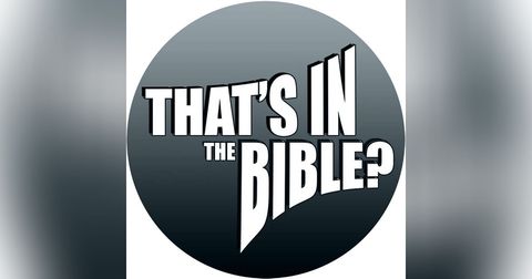 That's In The Bible?
