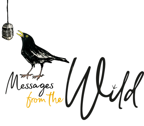 Messages from the Wild Logo