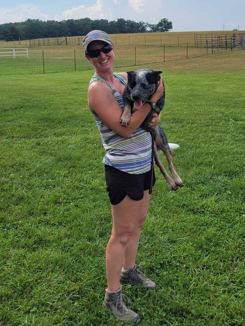 Unleashing Potential: The Art of Training and Trialing Australian Working Dogs