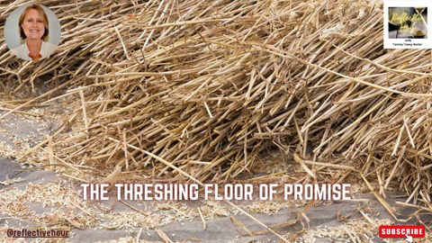 The Threshing Floor of Promise
