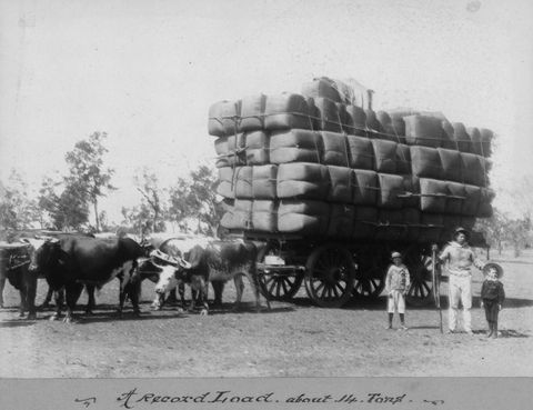 Slow Slogging Over The Horizon And Beyond: Early Australian Transport