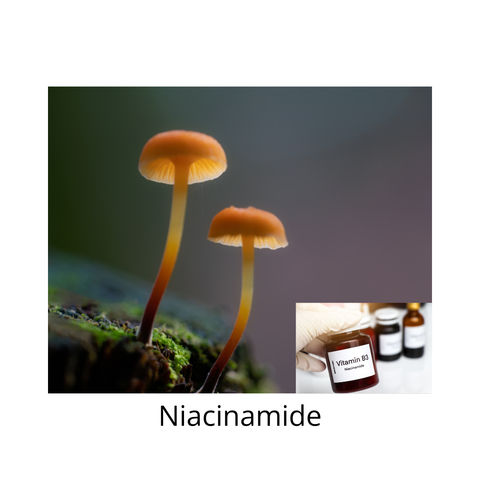 Niacinamide Explained: Skin Barrier Repair, Hydration and Hyperpigmentation