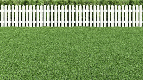 The Grass Isn’t Any Greener—Because You’ll Still Be There