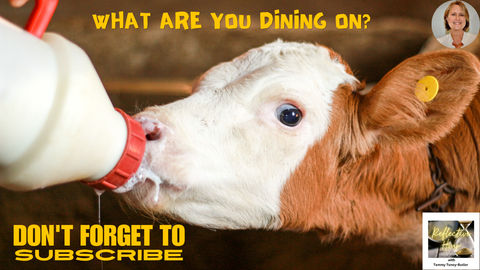 What Are You Dining On?