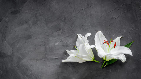 Finding Strength in Words: How Affirmations Can Support Your Grief Journey