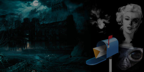 email capture banner