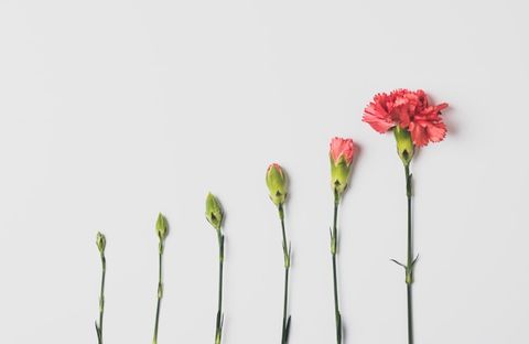 Understanding Growth on Both the Franchisee and Franchisor Side