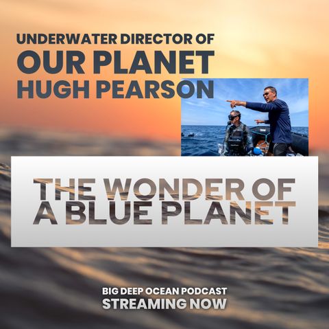 The Wonder of a Blue Planet: Hugh Pearson on filming iconic scenes from the oceans of our world