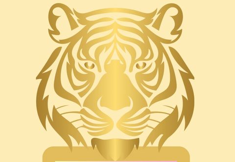 Roaring into the Unknown: Embracing Bold Career Moves in Midlife