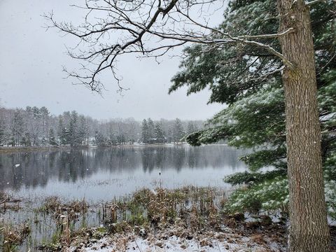 Snowbirds, Split Lives, and the Meaning of Michigan My Home