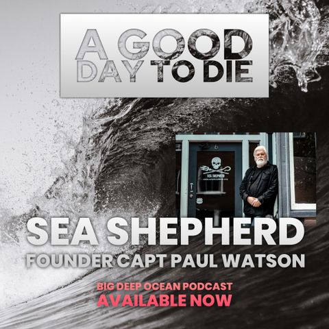 A Good Day To Die: Sea Shepherd Founder Captain Paul Watson On The Compassion Behind Confrontation