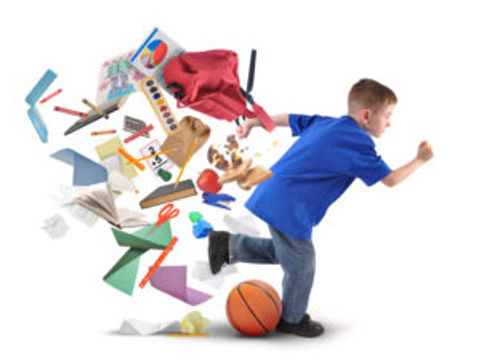 The Executive Function Connection