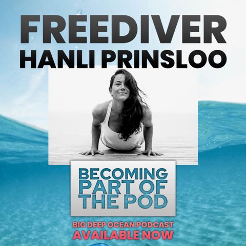 Becoming Part of the Pod: Hanli Prinsloo and how freediving connects her with marine wildlife