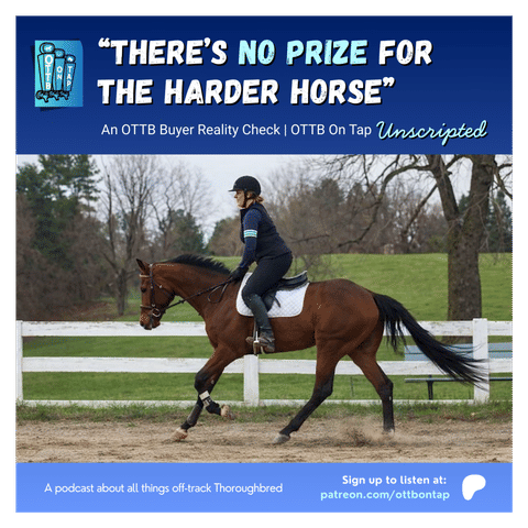 S3 E2: “There’s No Prize for the Harder Horse” An OTTB Buyer Reality Check | OTTB on Tap Unscripted Vol. 1.