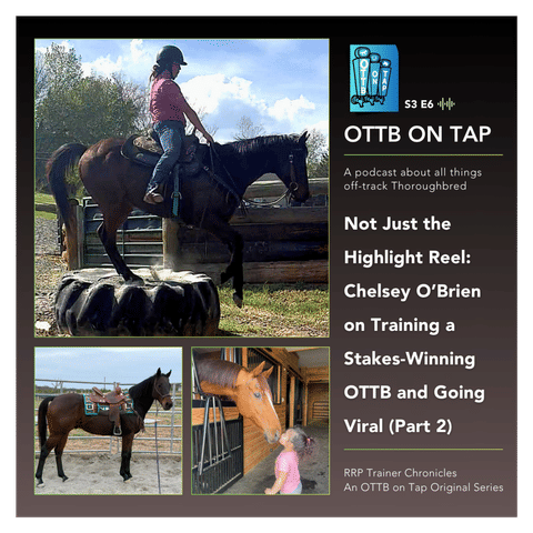 S3 E6: Not Just the Highlight Reel: Chelsey O’Brien on Training a Stakes-Winning OTTB and Going Viral (Part 2)
