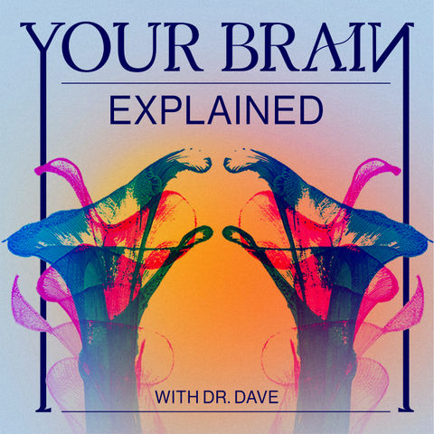 Could We Cure Mental Illness? The MDMA Story