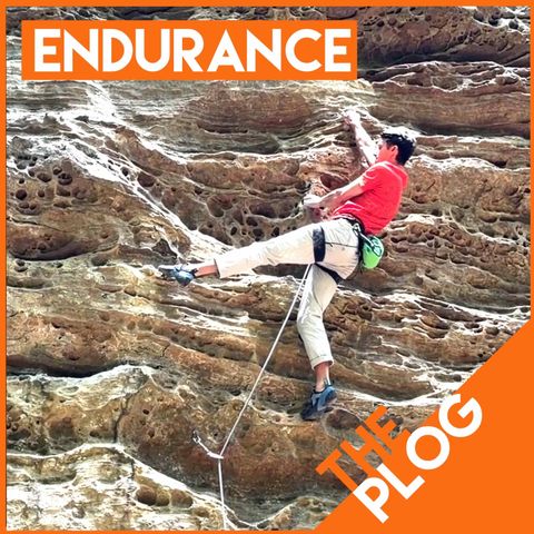 The May Plog: My Endurance Training Plan, Critical Force Assessment, and Realizing I'm a Bad Climber