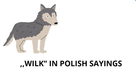 Exploring Polish Idioms: The Mighty Wolf