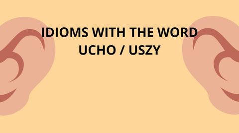 Celebrating 500 Episodes: Milestones and Polish Idioms