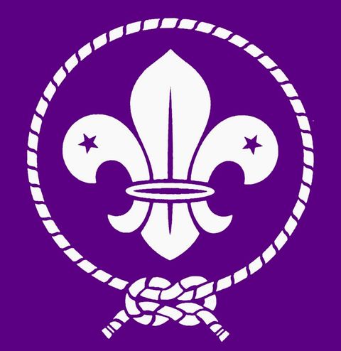 Why the Fleur-de-lis?