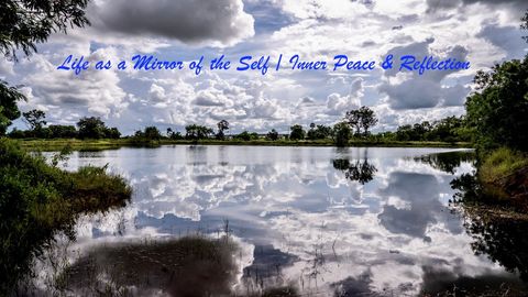 Life as a Mirror of the Self: Finding Clarity Within