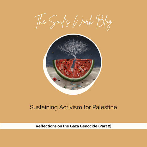 Sustaining Activism for Palestine | Reflections on the Gaza Genocide (Part 2)
