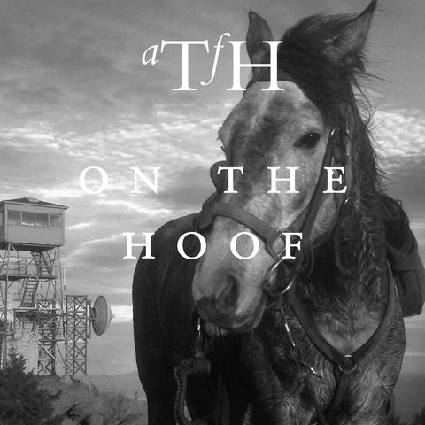 On the Hoof