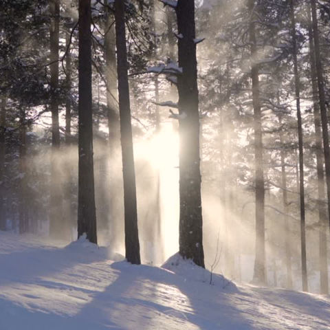 Embracing the Winter Solstice: Holistic Strategies for Wellness and Releasing The ADHD Label During Wintertime