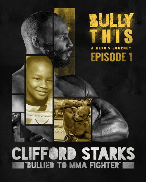 Bully This - A Hero's Journey Episode 1- Bullied to MMA