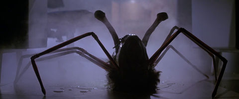 Acid Horror History #2 - We Are Legion: The Body Without Organs and The Thing (1982)