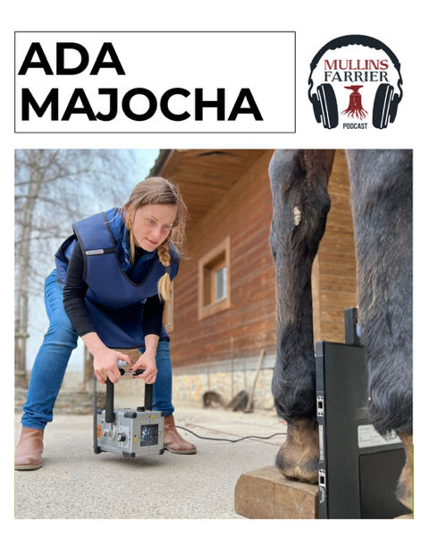 Ada Majocha
