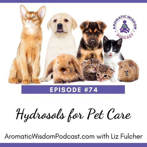 74: 10 Ways to Use Hydrosols for Pet Care