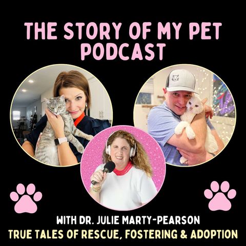 Learning Pet Nutrition Science: How Four Cats Taught This Couple Everything About Pet Food