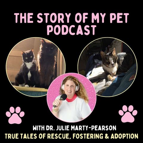 Cats Kept Him Going: How David Maeda's Cats Shaped His Story