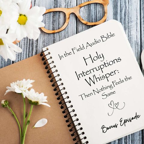 Holy Interruptions Whisper: Then Nothing Feels The Same