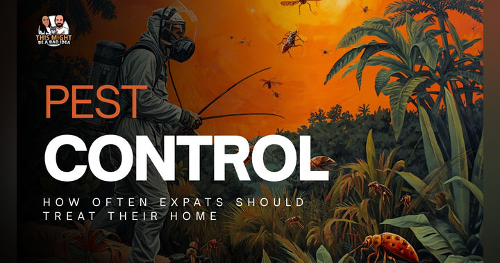 image for Pest Control in Merida, Mexico: How Often Expats Should Treat Their Home