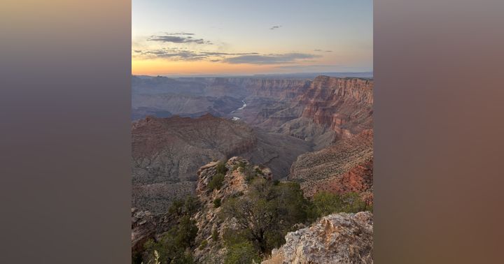 image for This Land Was Made For You And Me