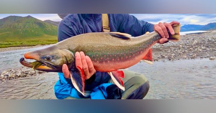 image for How to Plan a DIY Alaska Fly Fishing Trip: Finding Remote Rivers with Oliver Ancans