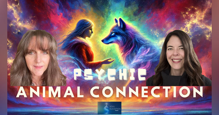 image for Animal Communication: Strengthening Your Connection to Your Pets with Animal Communicator Heidi Wright