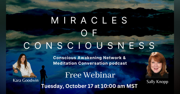 image for From Limiting Beliefs to Limitless Potential: Sally Knopp Reveals the Secrets of Quantum Healing