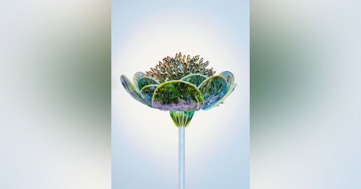 image for Embracing the Shift: A Journey From 3D to 5D Consciousness