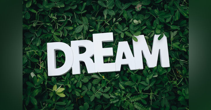 image for Chasing Dreams: It’s Never Too Late, Ladies!