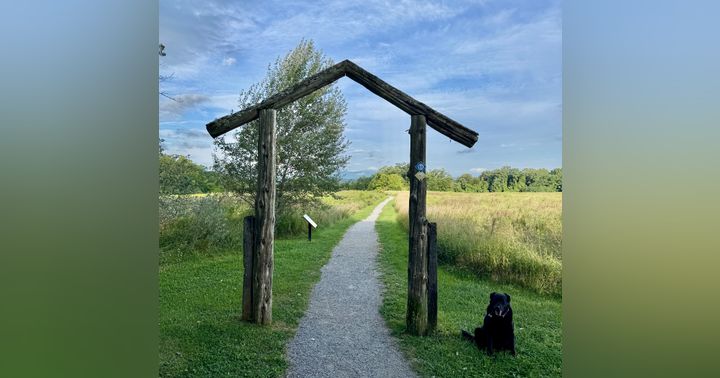 image for Cidiot’s Favorite Dog Walks in the Hudson Valley