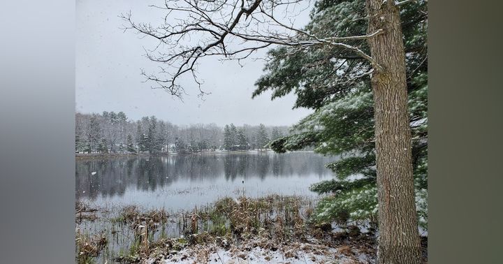 image for Snowbirds, Split Lives, and the Meaning of Michigan My Home