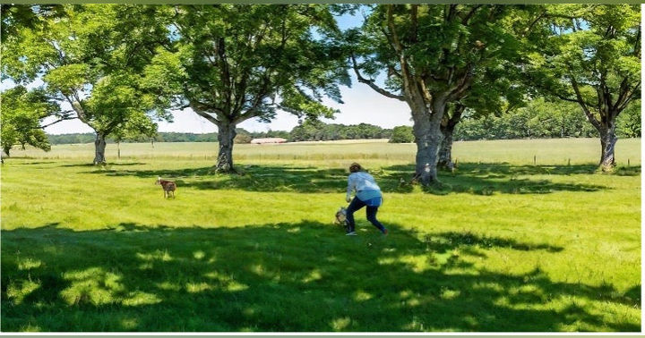 image for Beat the Bite - Avoid Tick Bites and Lyme Disease