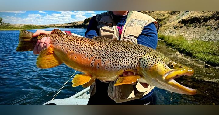 image for Wyoming's Last Big Secret: Fly Fishing the Green River Below Fontenelle Dam