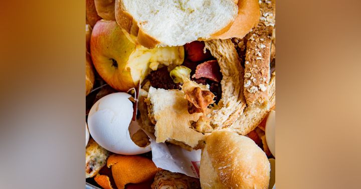 image for Tackling Food Waste and Poverty: What Plan Zheroes is Doing Today