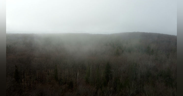 image for We are not left behind