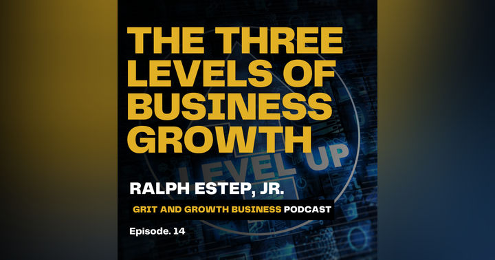 image for Climbing the Business Growth Ladder: A Strategic Journey Through Three Levels